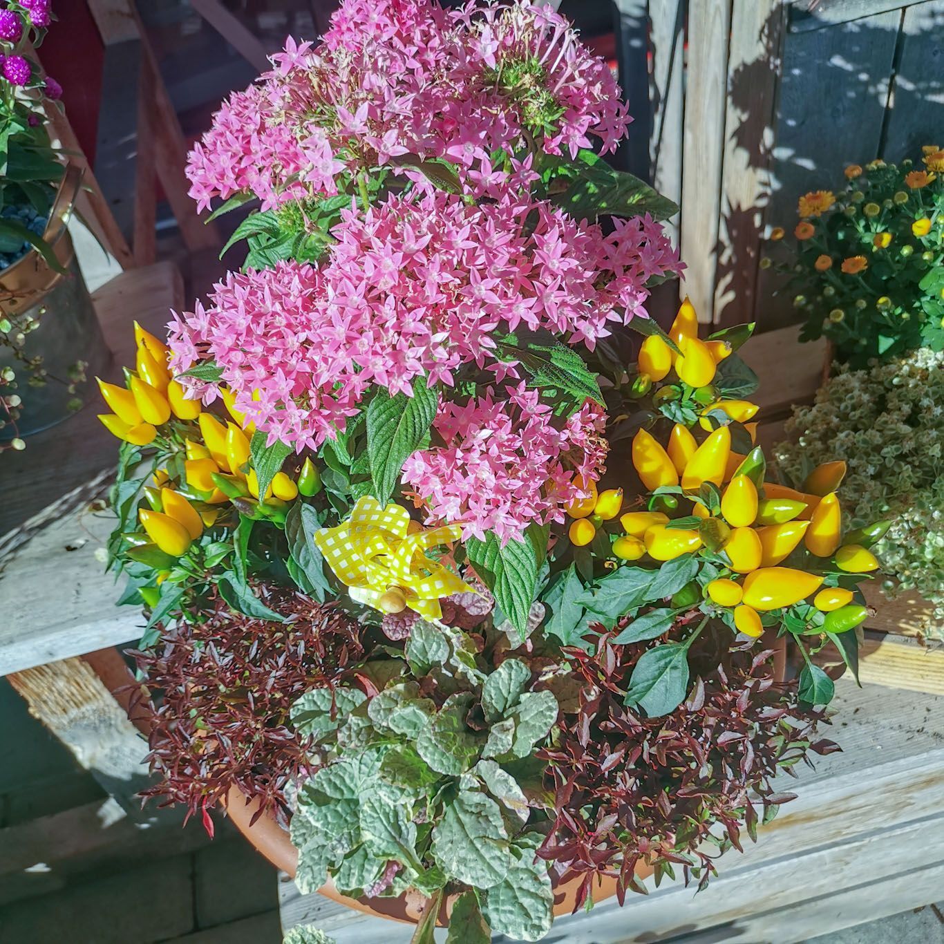 Gartenanlage - hollenstein blumengarten AG