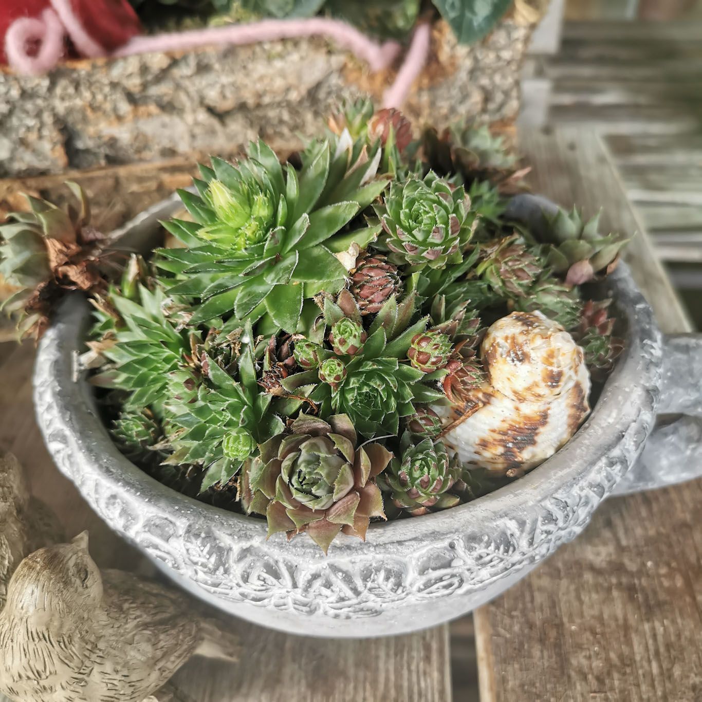 Gartenanlage - hollenstein blumengarten AG