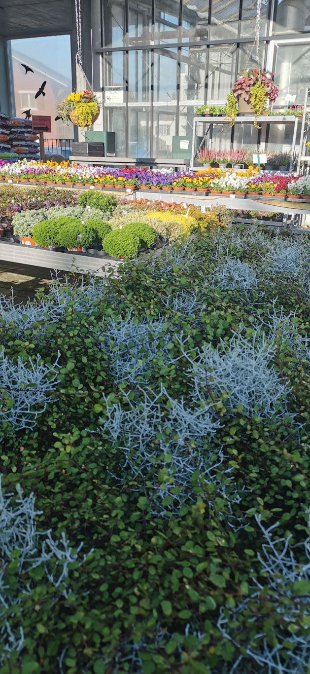 Gartenanlage - hollenstein blumengarten AG