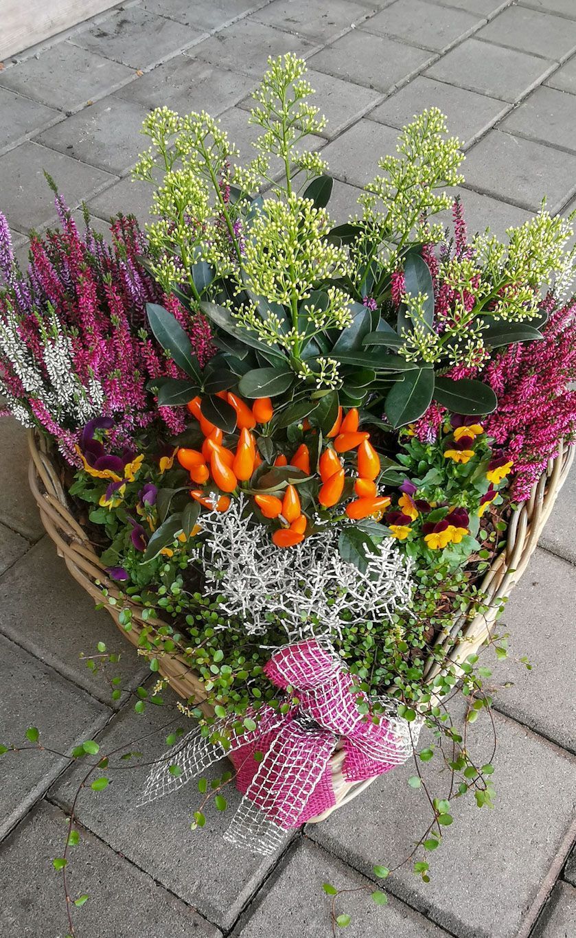 Gartenanlage - hollenstein blumengarten AG