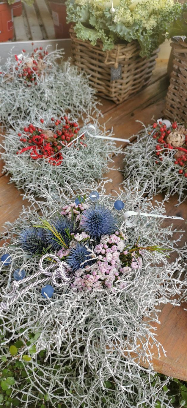 Gartenanlage - hollenstein blumengarten AG