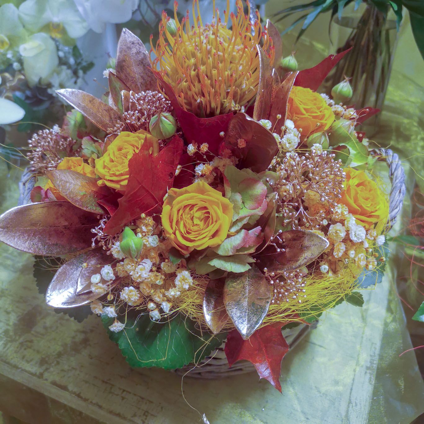 hollenstein blumengarten ag