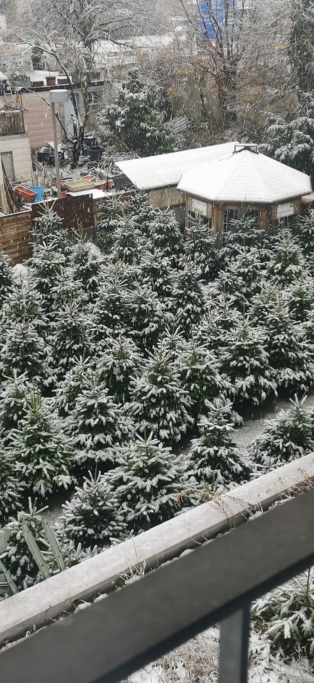 Gartenanlage - hollenstein blumengarten AG