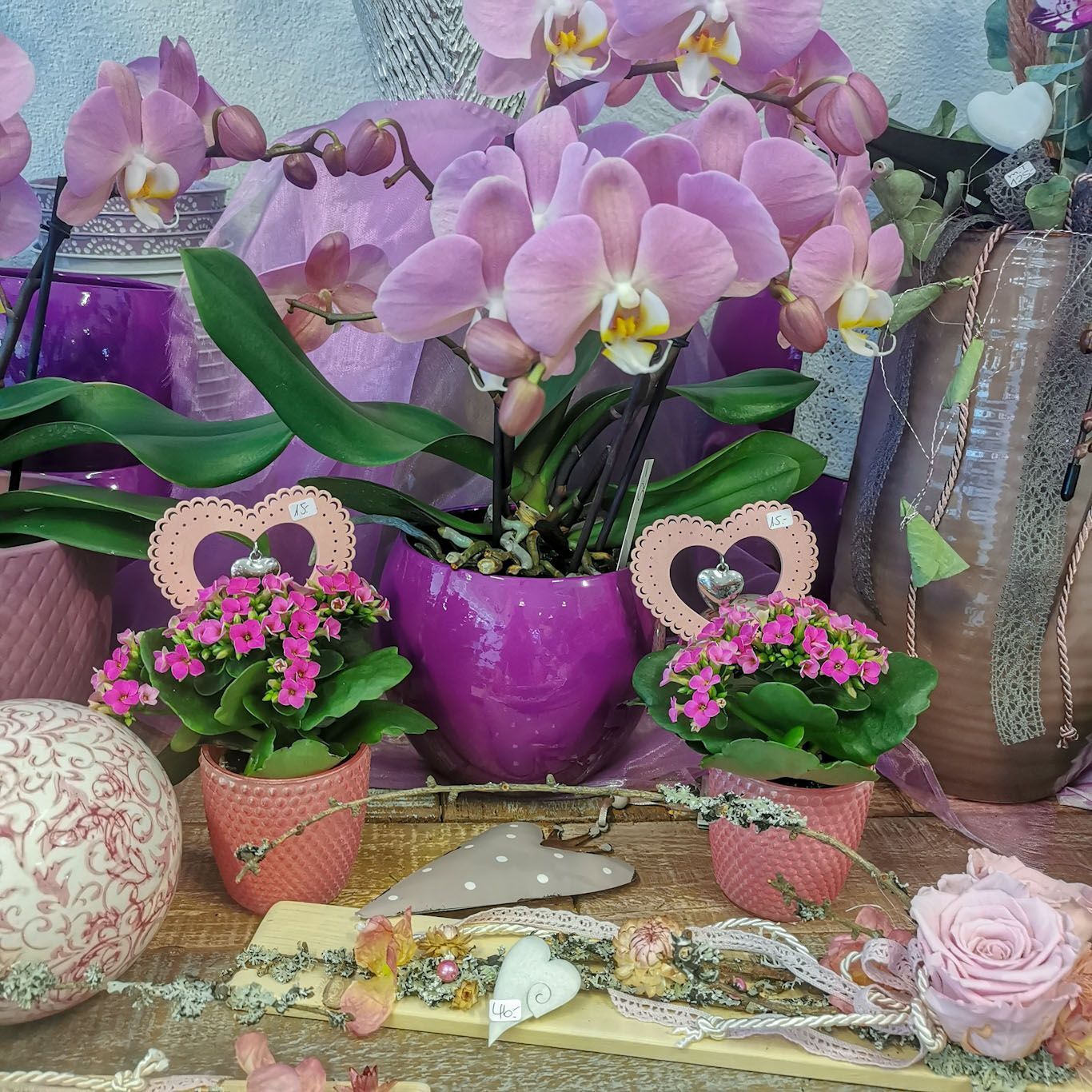 hollenstein blumengarten ag