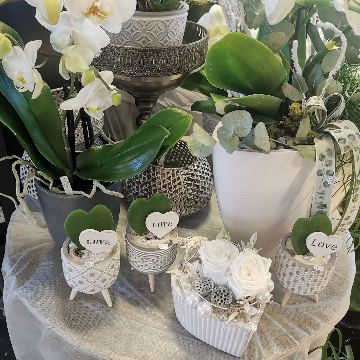 hollenstein blumengarten ag