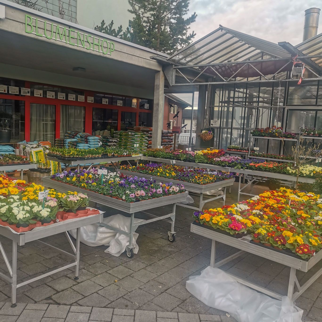 Gartenanlage - hollenstein blumengarten AG