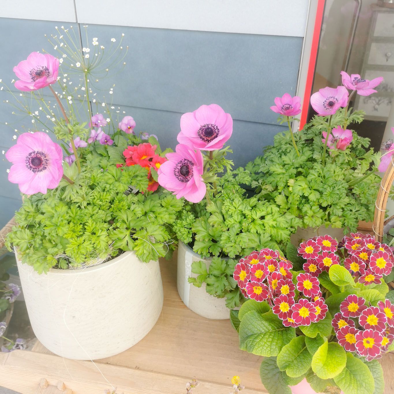 Gartenanlage - hollenstein blumengarten AG