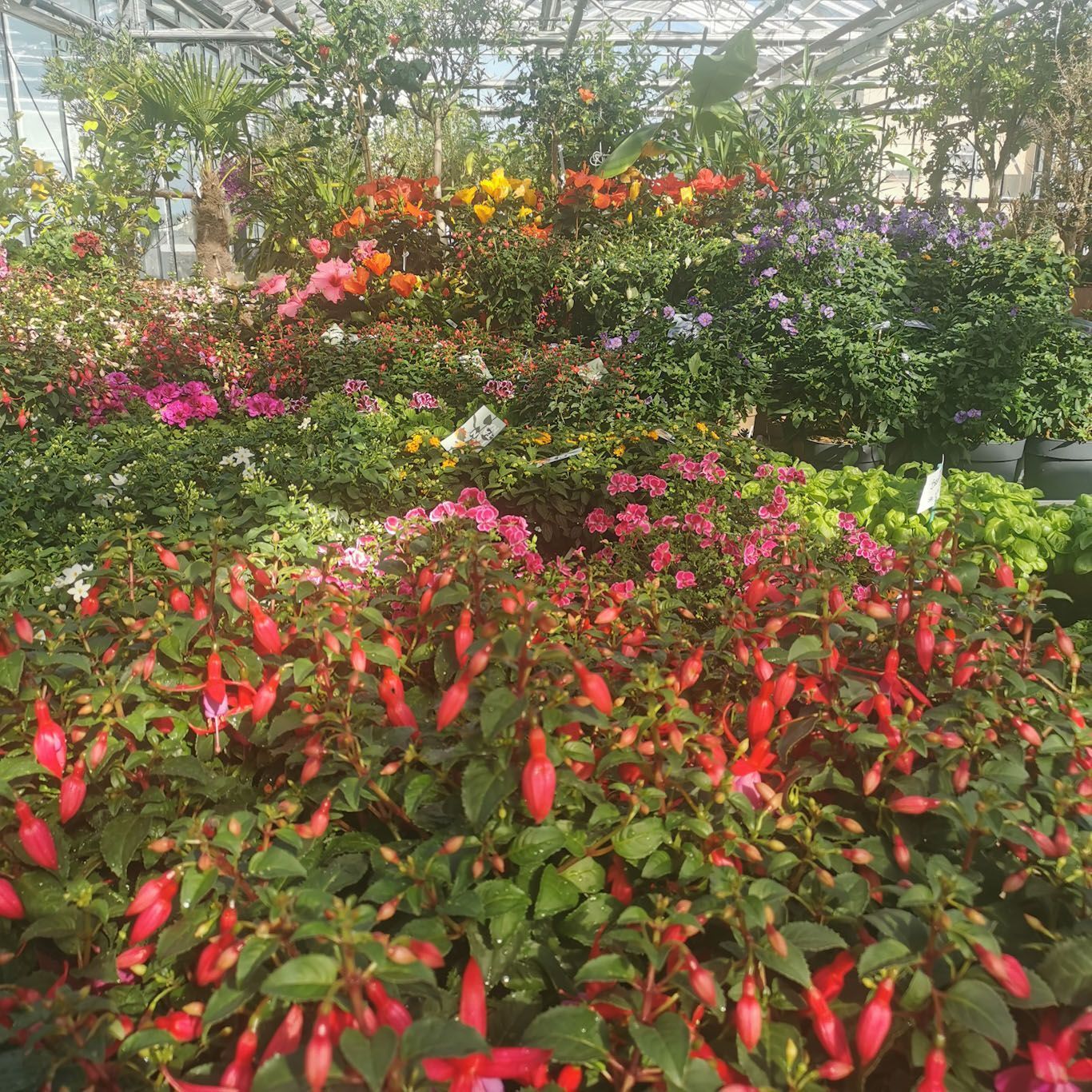 Gartenanlage - hollenstein blumengarten AG