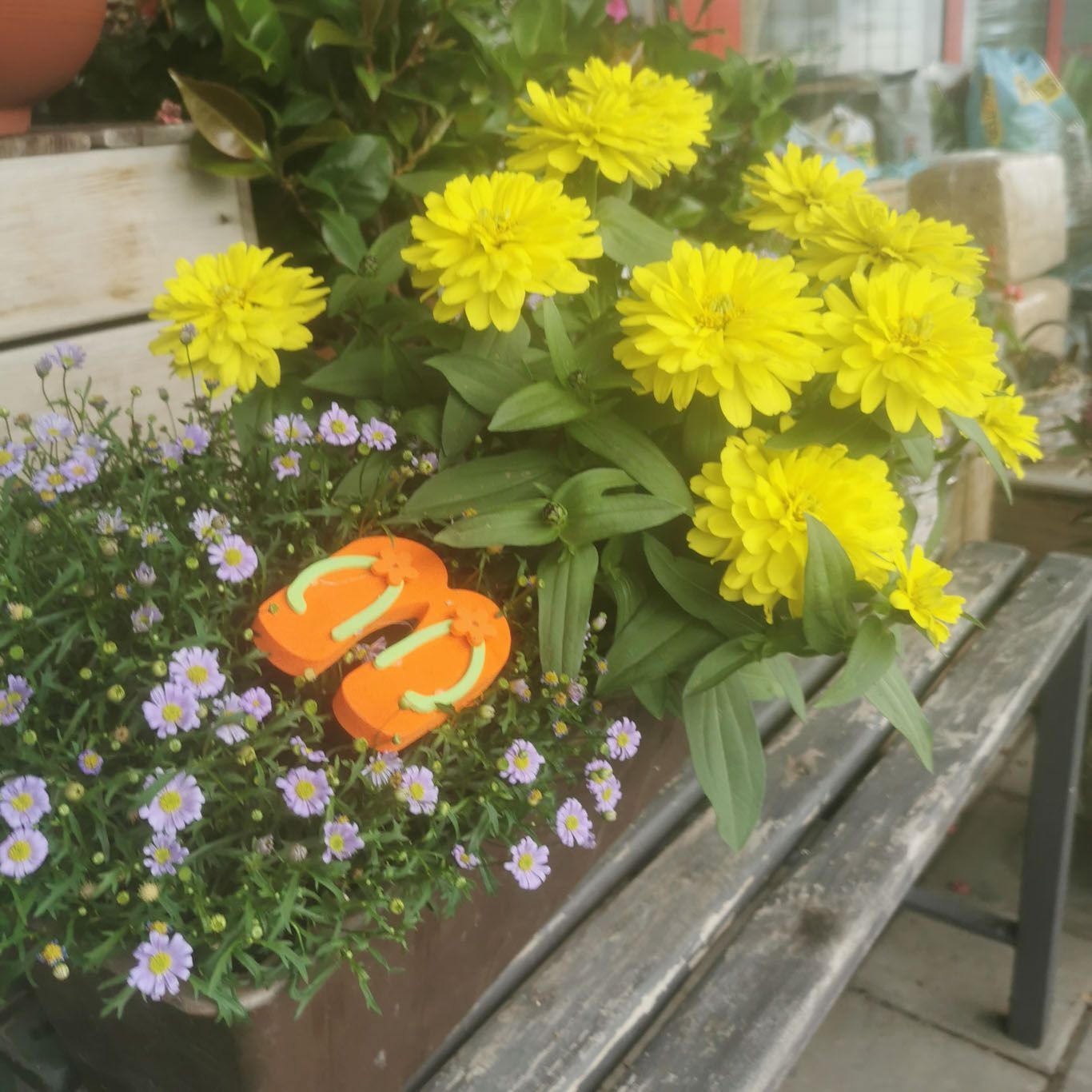 Gartenanlage - hollenstein blumengarten AG