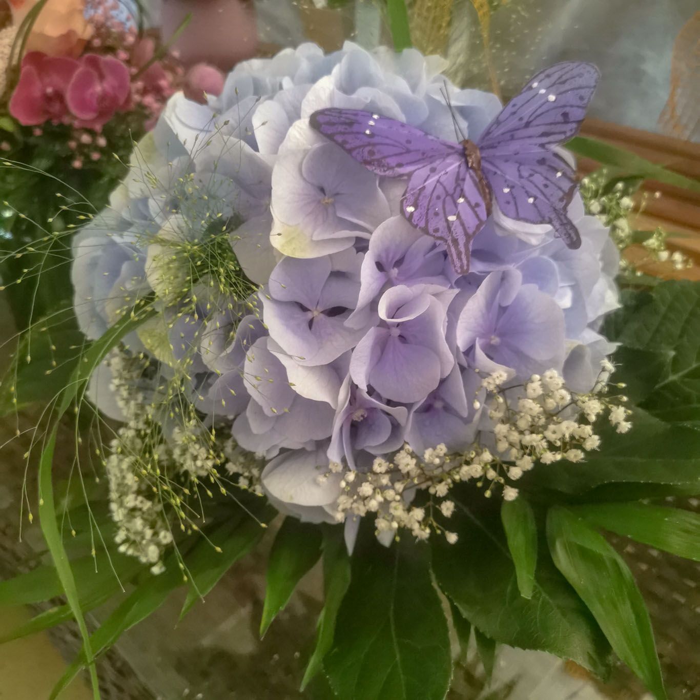 hollenstein blumengarten ag