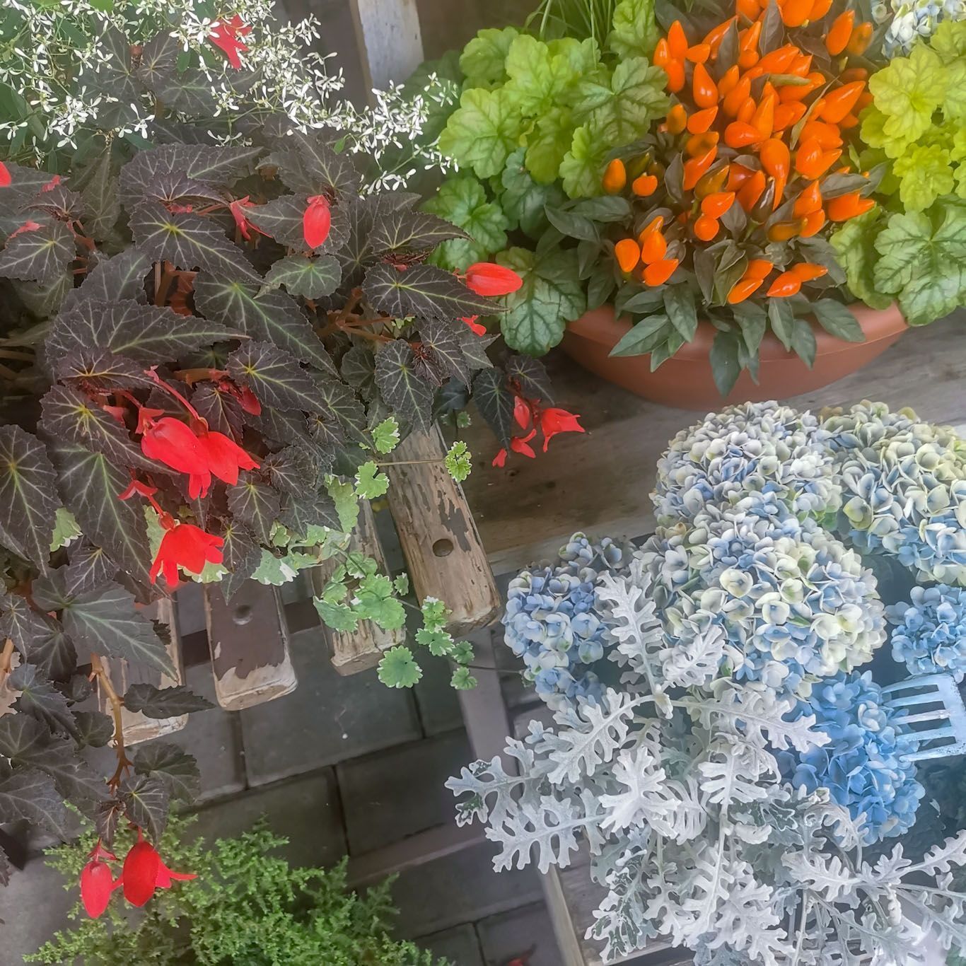 Gartenanlage - hollenstein blumengarten AG