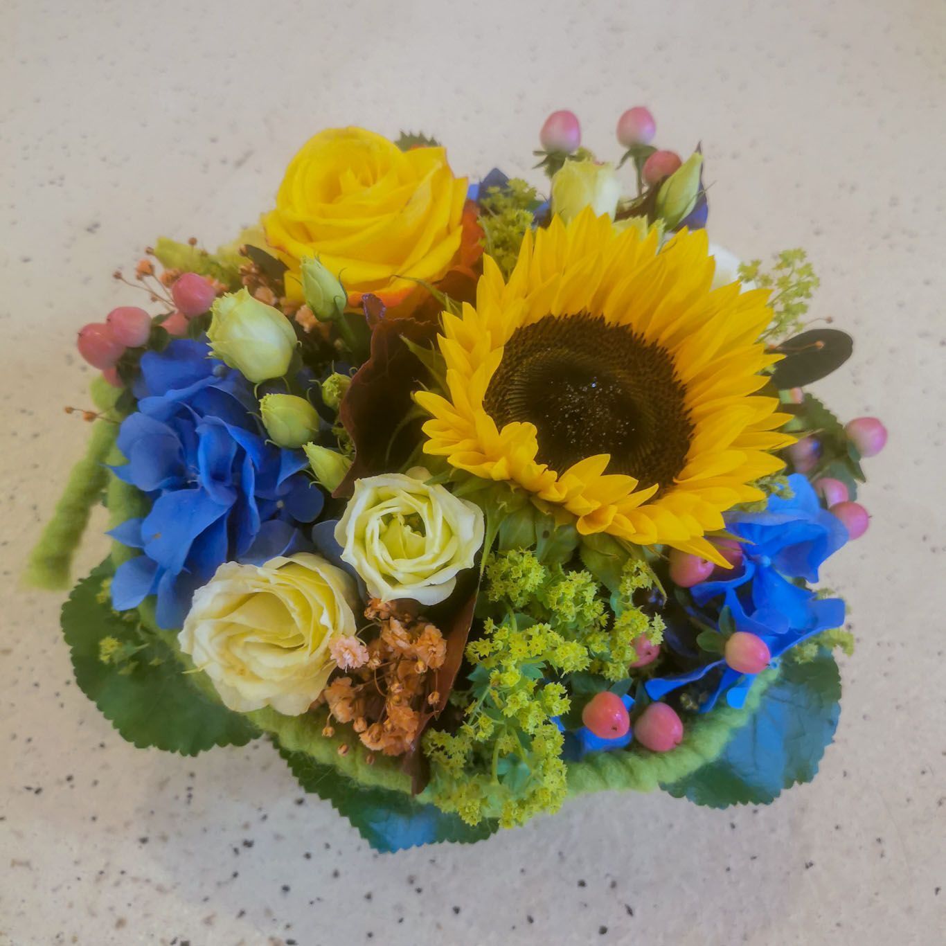 hollenstein blumengarten ag