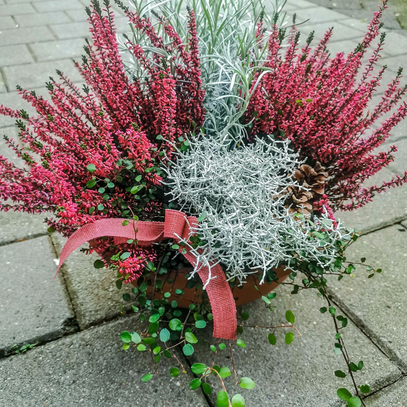 Gartenanlage - hollenstein blumengarten AG