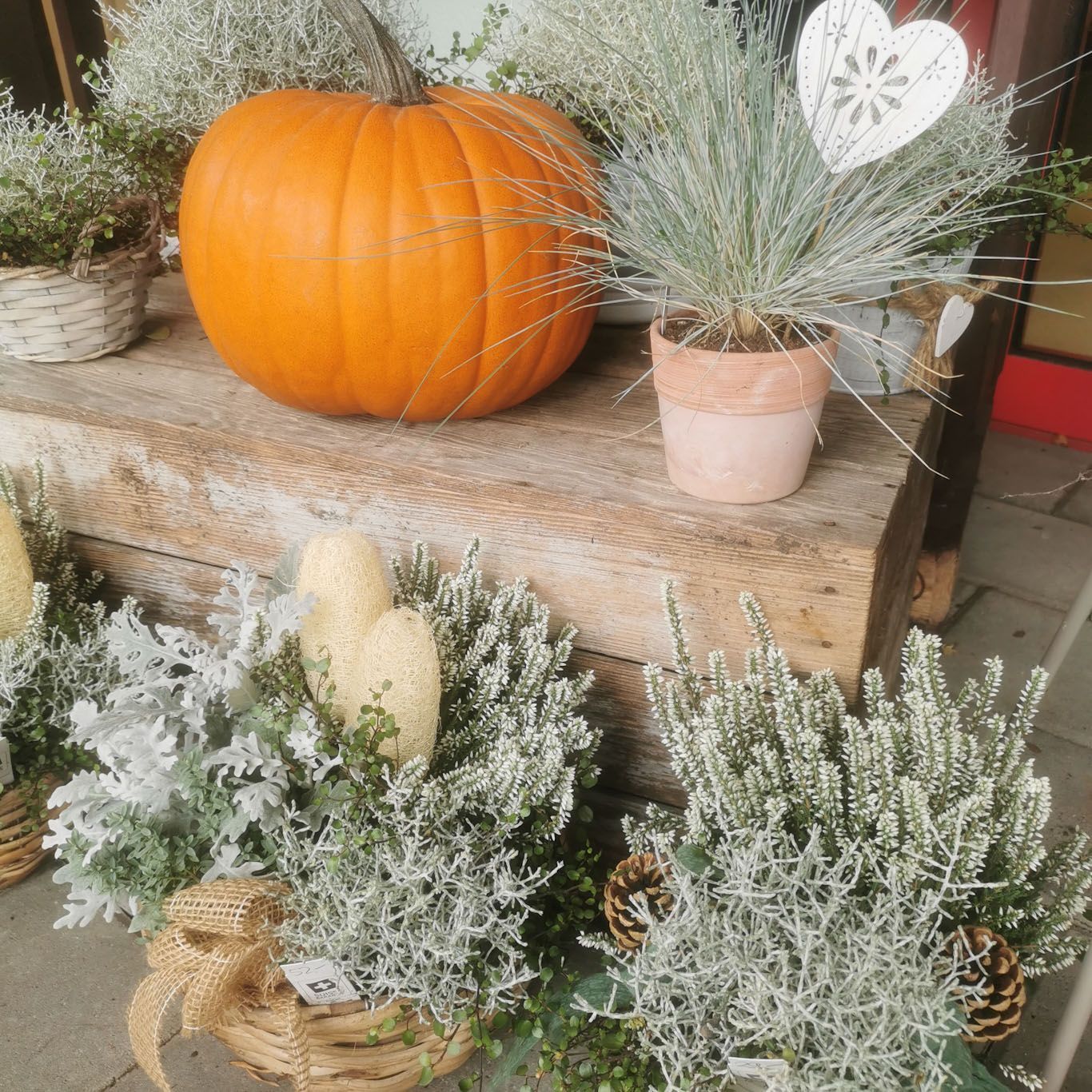 Gartenanlage - hollenstein blumengarten AG