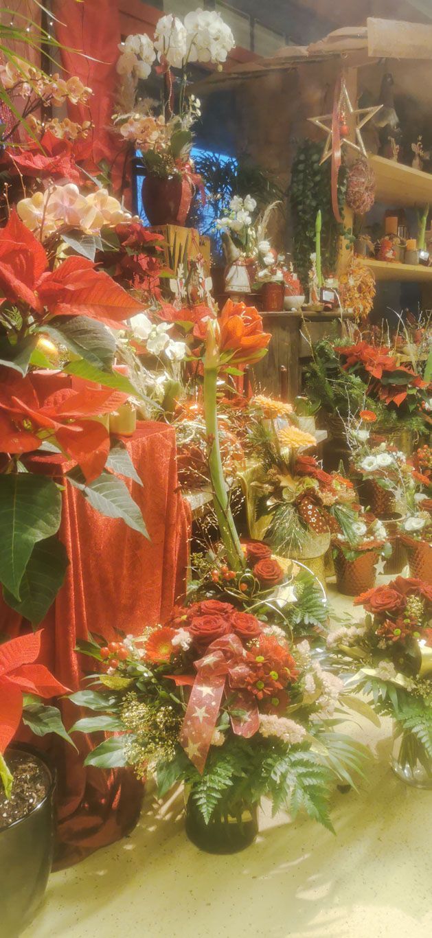 hollenstein blumengarten ag