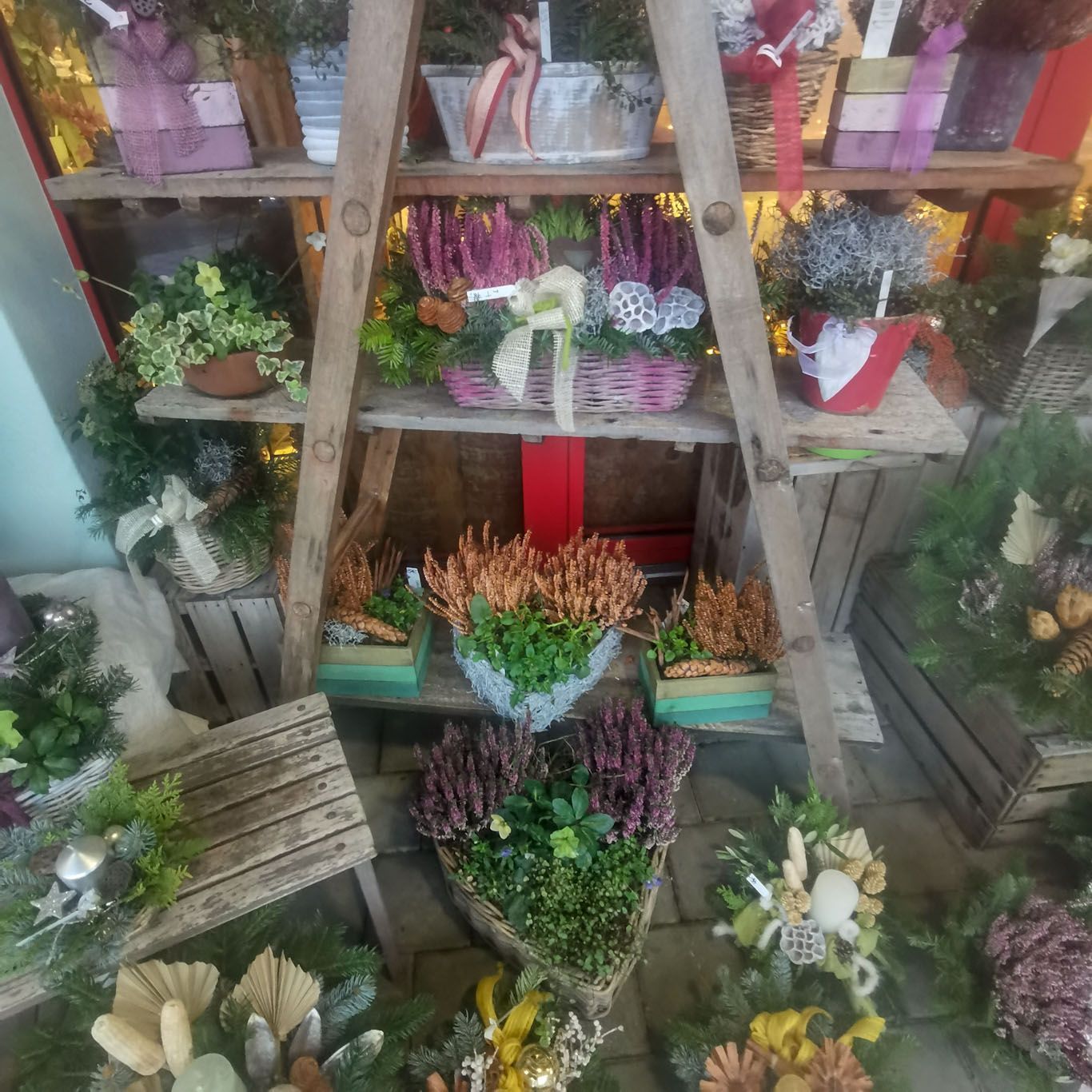 Gartenanlage - hollenstein blumengarten AG