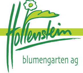 Logo - hollenstein blumengarten AG