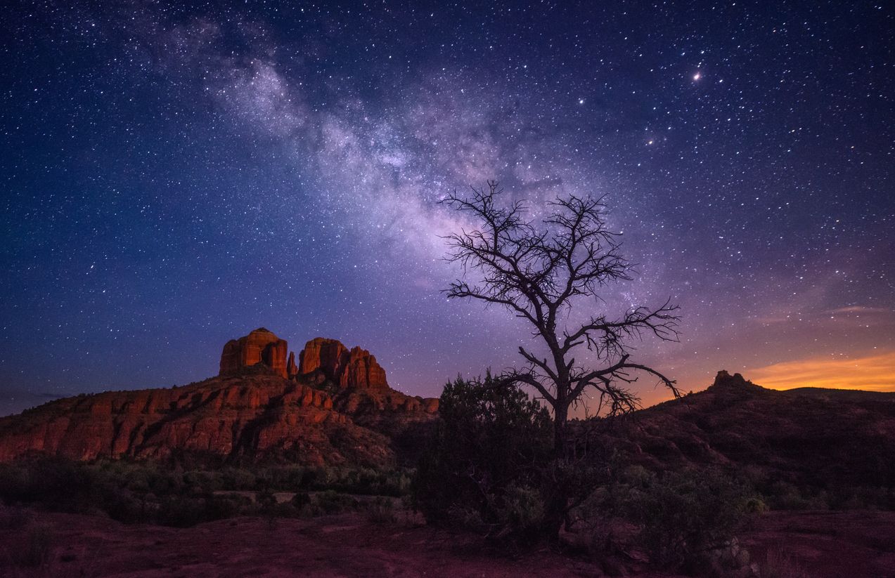 Starry night over red rock formations and a lone tree silhouetted against a purple sky