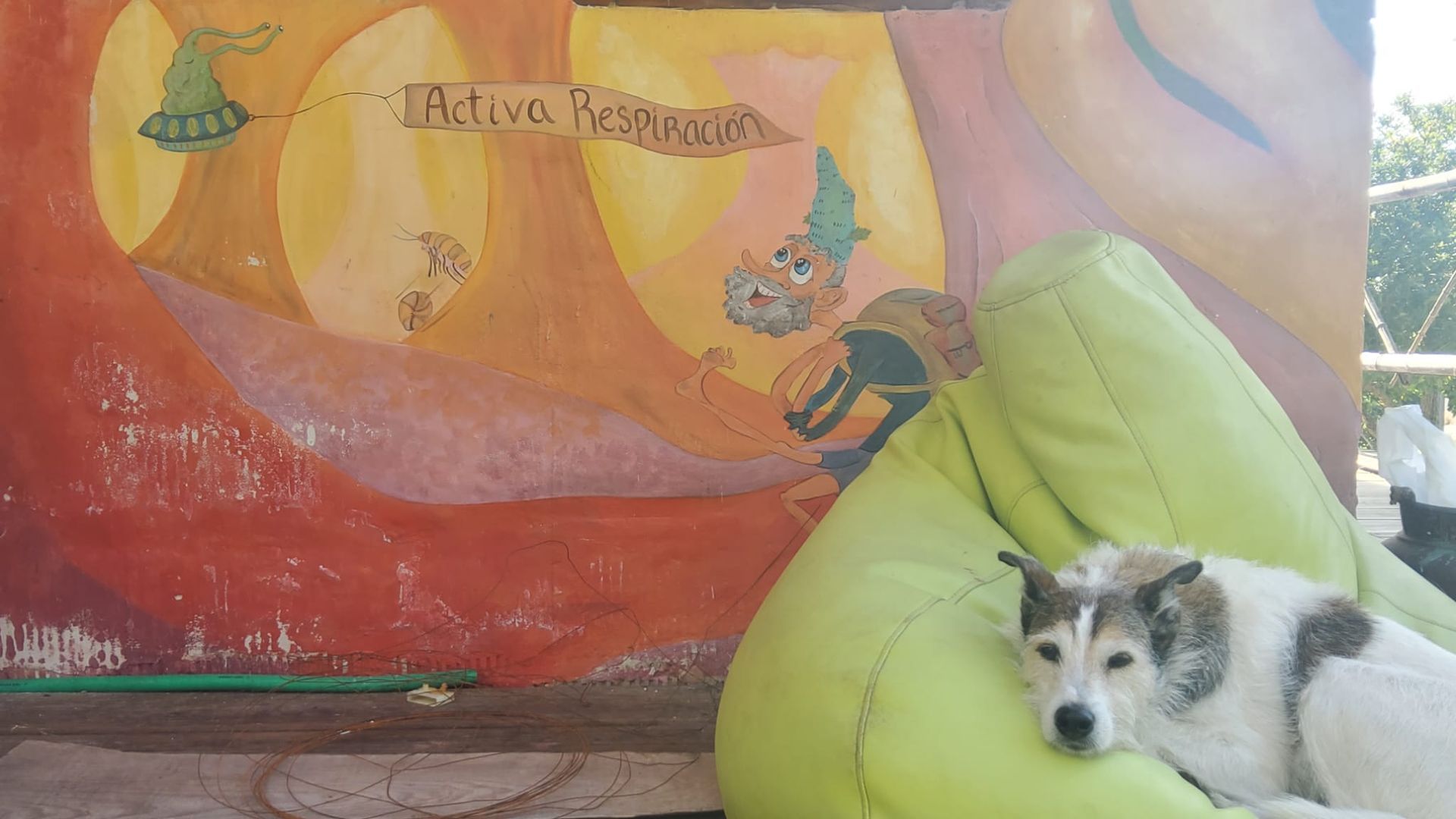 Un perro está acostado en un sillón frente a un mural.