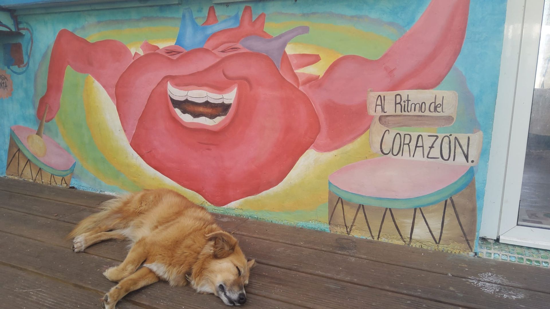 Un perro está acostado en el suelo frente a un mural de un corazón.