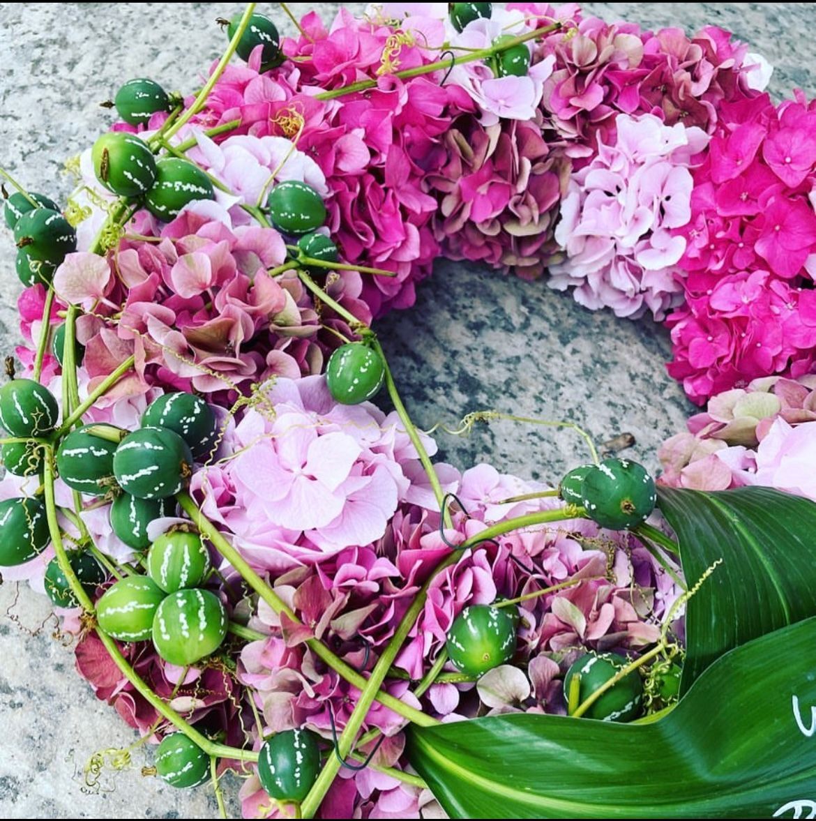 Rosa Hortensienkranz mit grünen Beeren, Nahaufnahme.