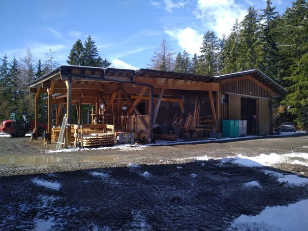 Zorèyè service forestier