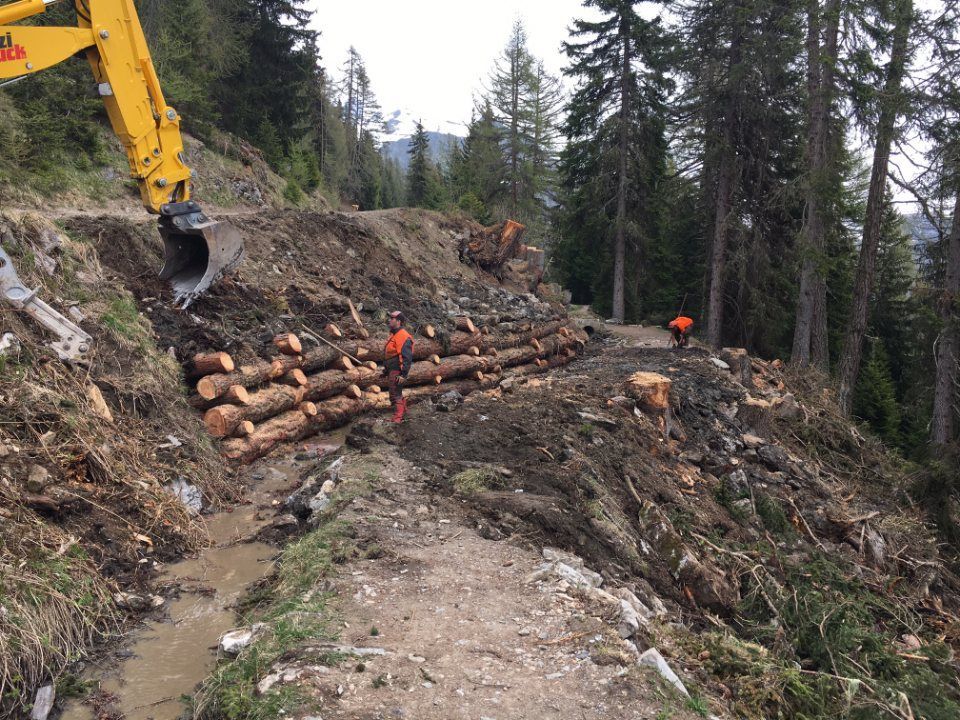 bois de la forêt du Valais