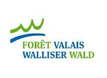 Zorèyè service forestier