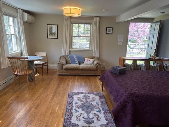 A living room with a couch , table , chairs and a bed.
