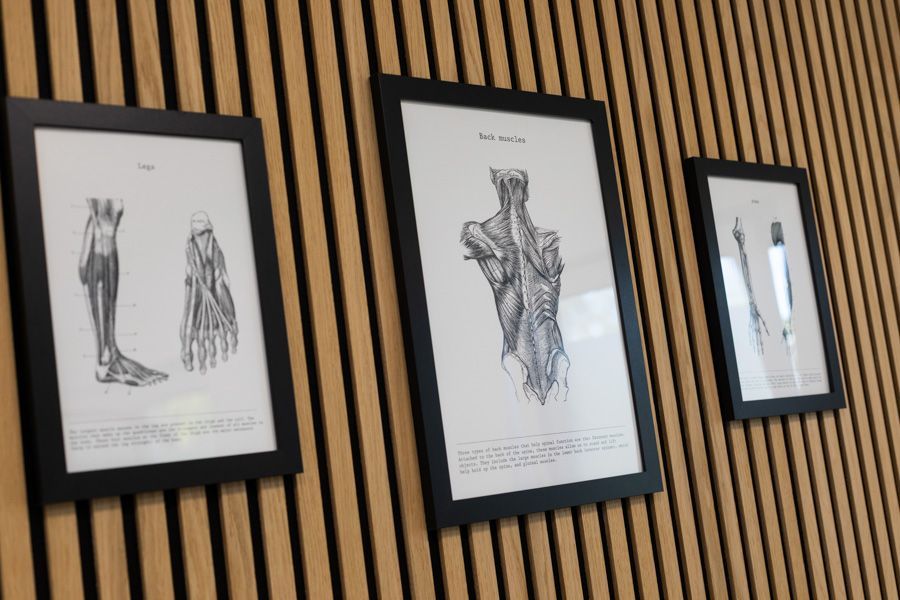 Gerahmte, schwarz-weiße anatomische Skizzen hängen an einer Holzlattenwand.