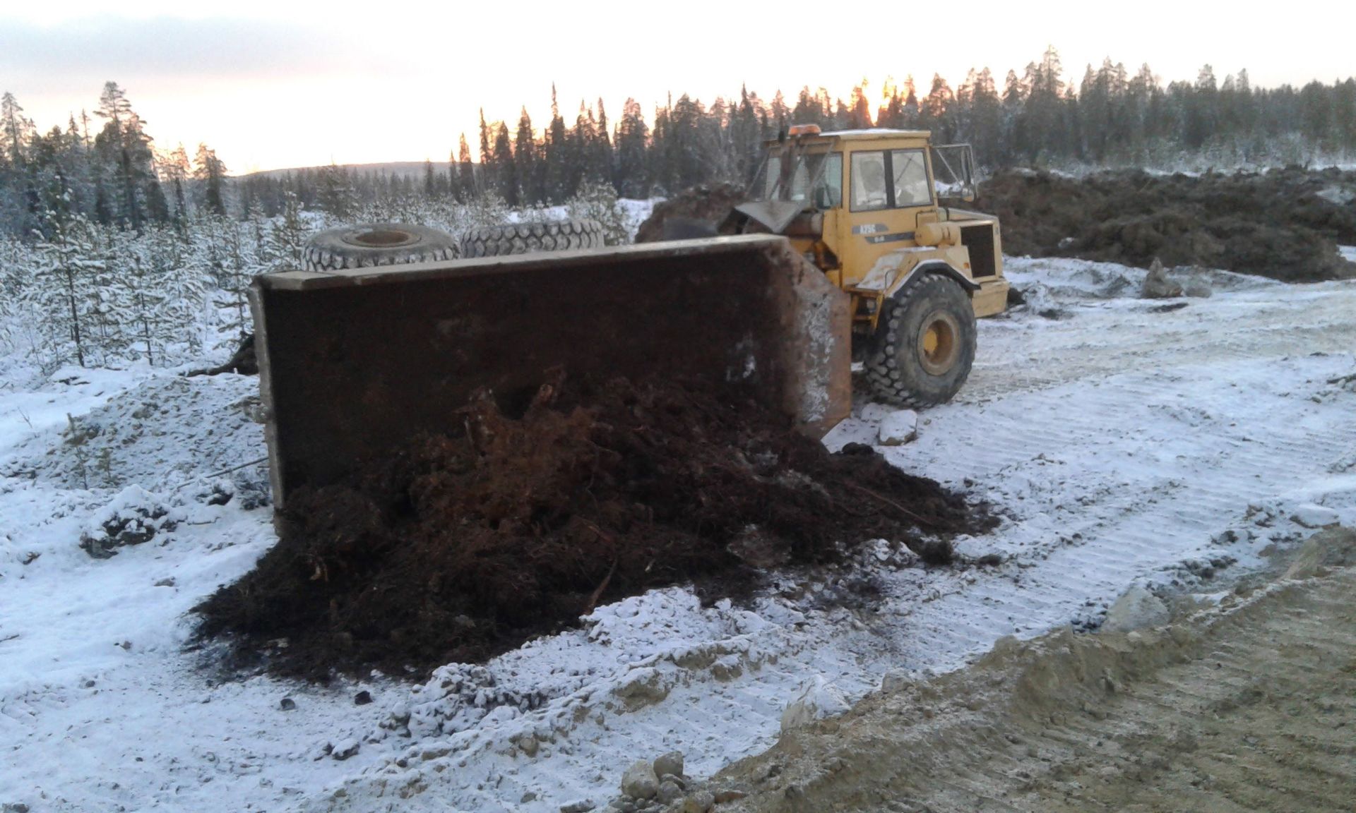 Keltainen puskutraktori työntää tummaa maata lumisella pellolla, taustalla metsää.