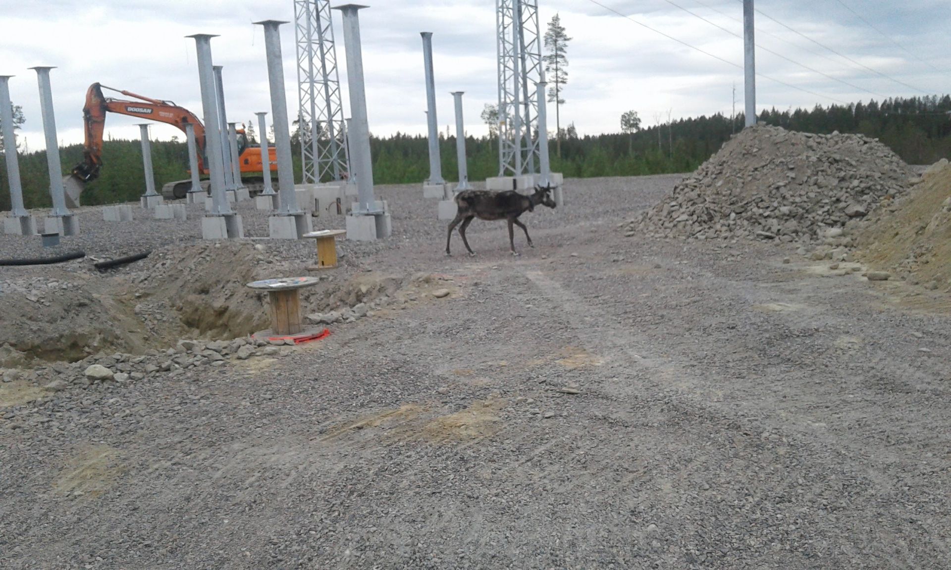 Poro kävelee rakennustyömaan läpi kaivinkoneen ja voimalinjojen taustalla.