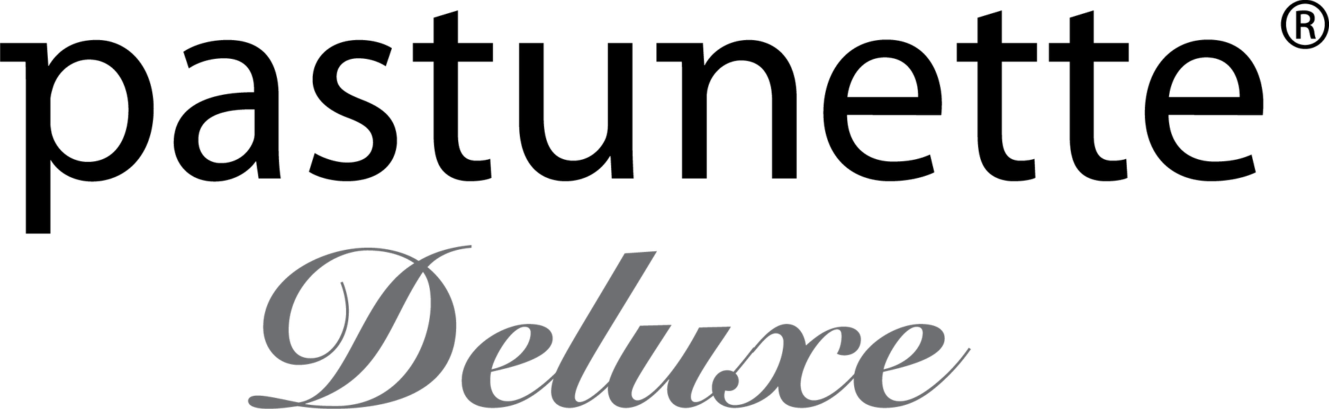 Logo von Pastunette Deluxe. Das Wort „Pastunette“ in Schwarz, „Deluxe“ in kursiver, grauer Schrift.