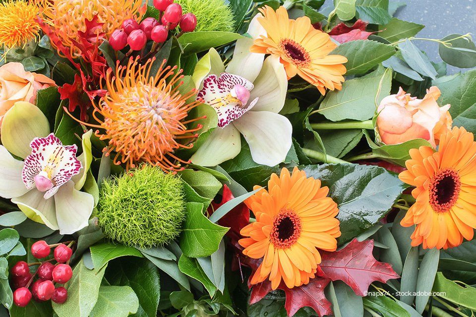 Gartebau Bunk – exotische Blumen