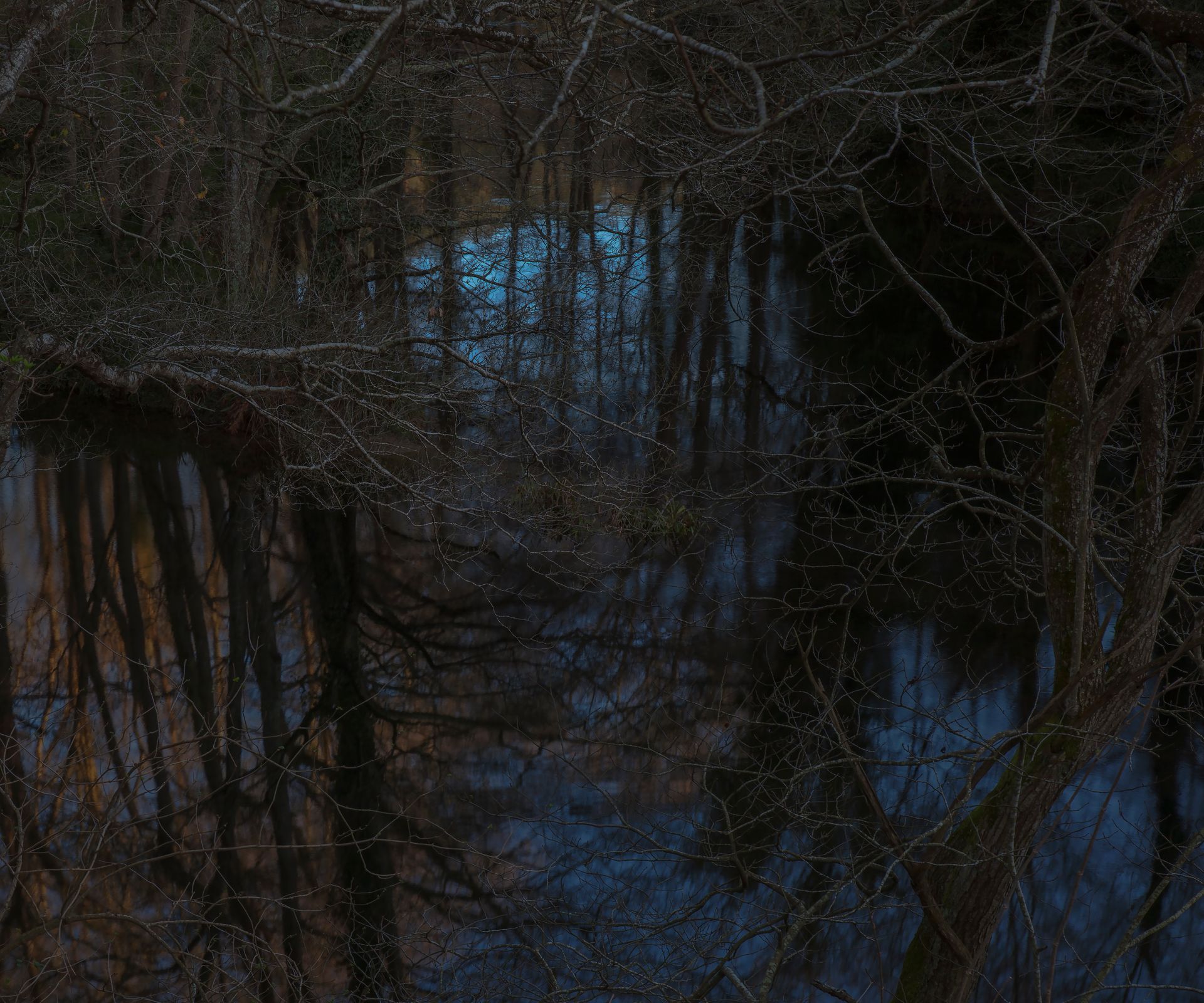 El agua oscura refleja árboles desnudos y un trozo de cielo azul.