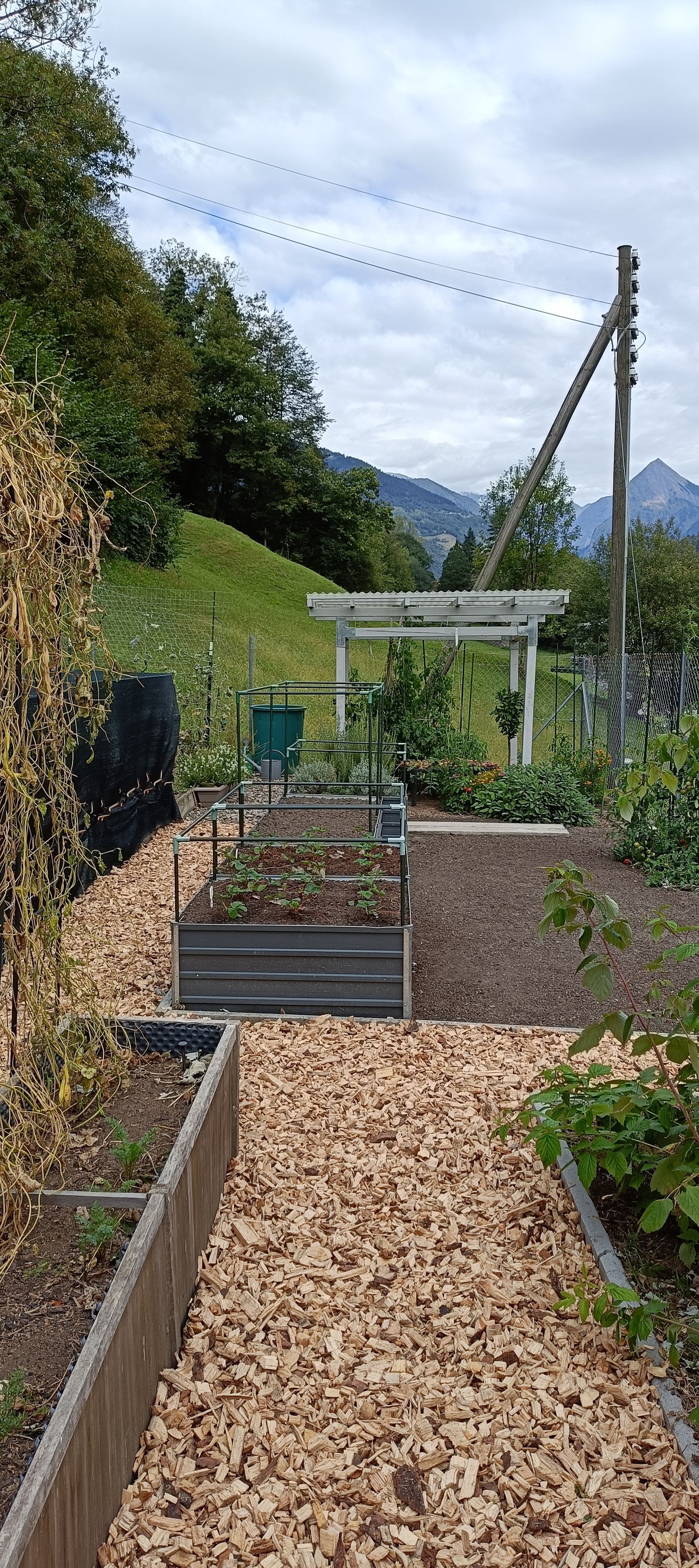 terra lavorata in un'area verde - Ellemme Giardini di Luca Maruca