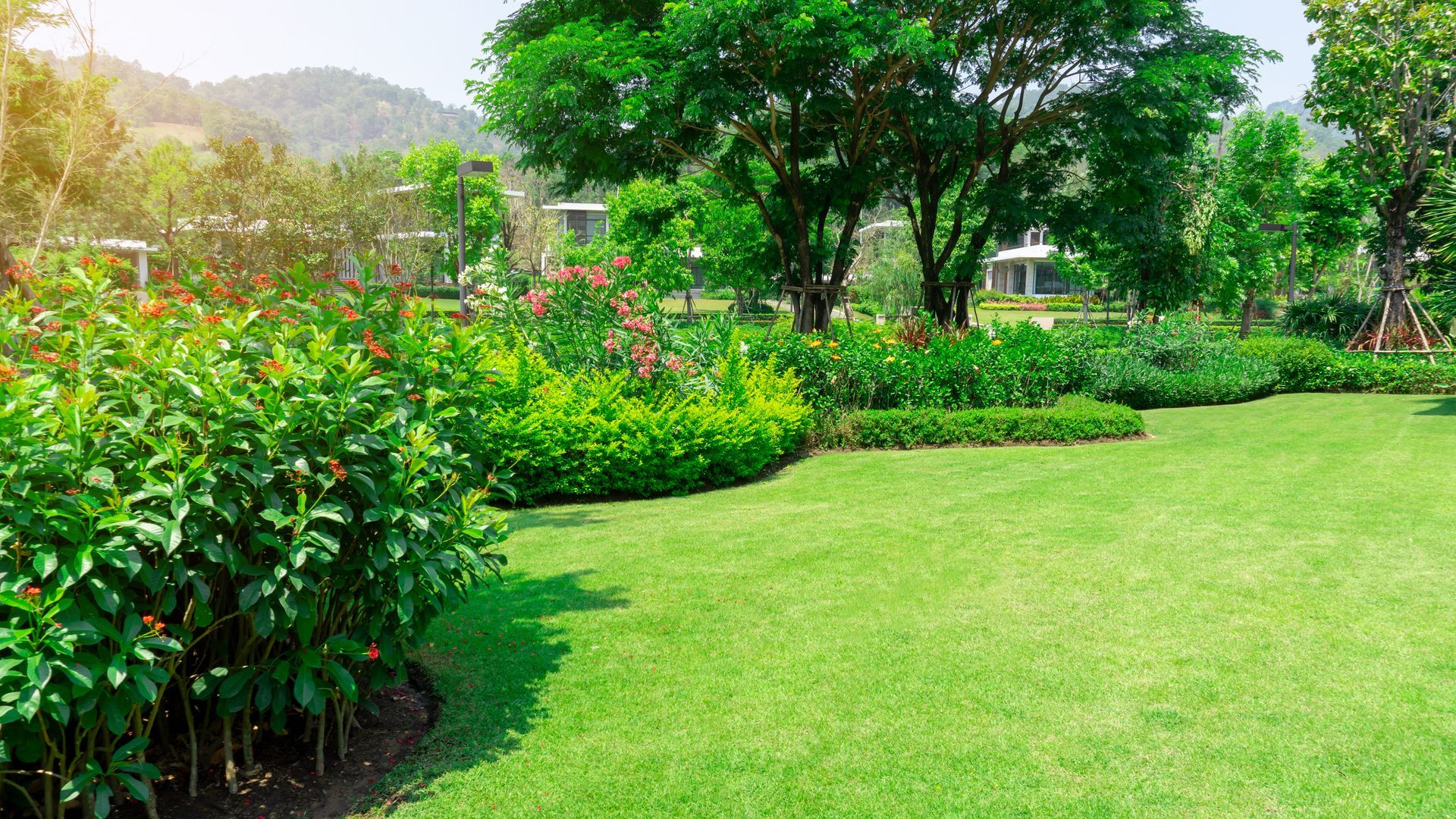 Un jardin luxuriant et verdoyant, avec une pelouse bien entretenue, des arbustes en fleurs et des arbres baignés de soleil