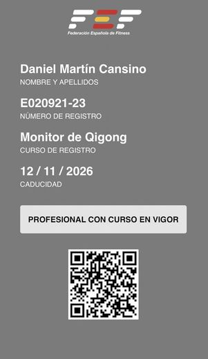 Tarjeta de identificación digital gris de Daniel Martin Cansino, con logotipo, fecha, «PROFESIONAL CON CURSO EN VIGOR» y código QR.
