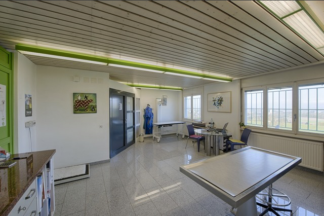 Comportement Cabinet veterinaire - Terre Belle