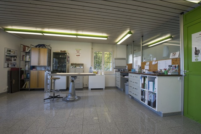 Consultation - Cabinet vétérinaire - TerreBelle