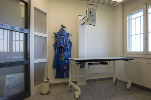 Radiographie Cabinet vétérinaire - Terre Belle