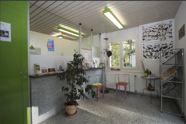 Salle d'attente - Cabinet vétérinaire - TerreBelle