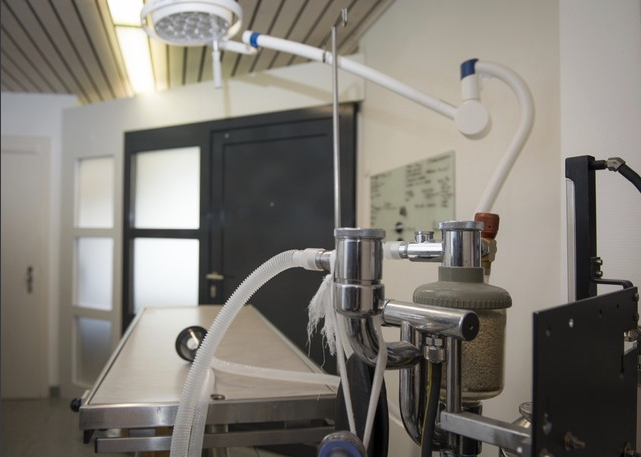 Salle d'opération - Cabinet vétérinaire - Terre Belle