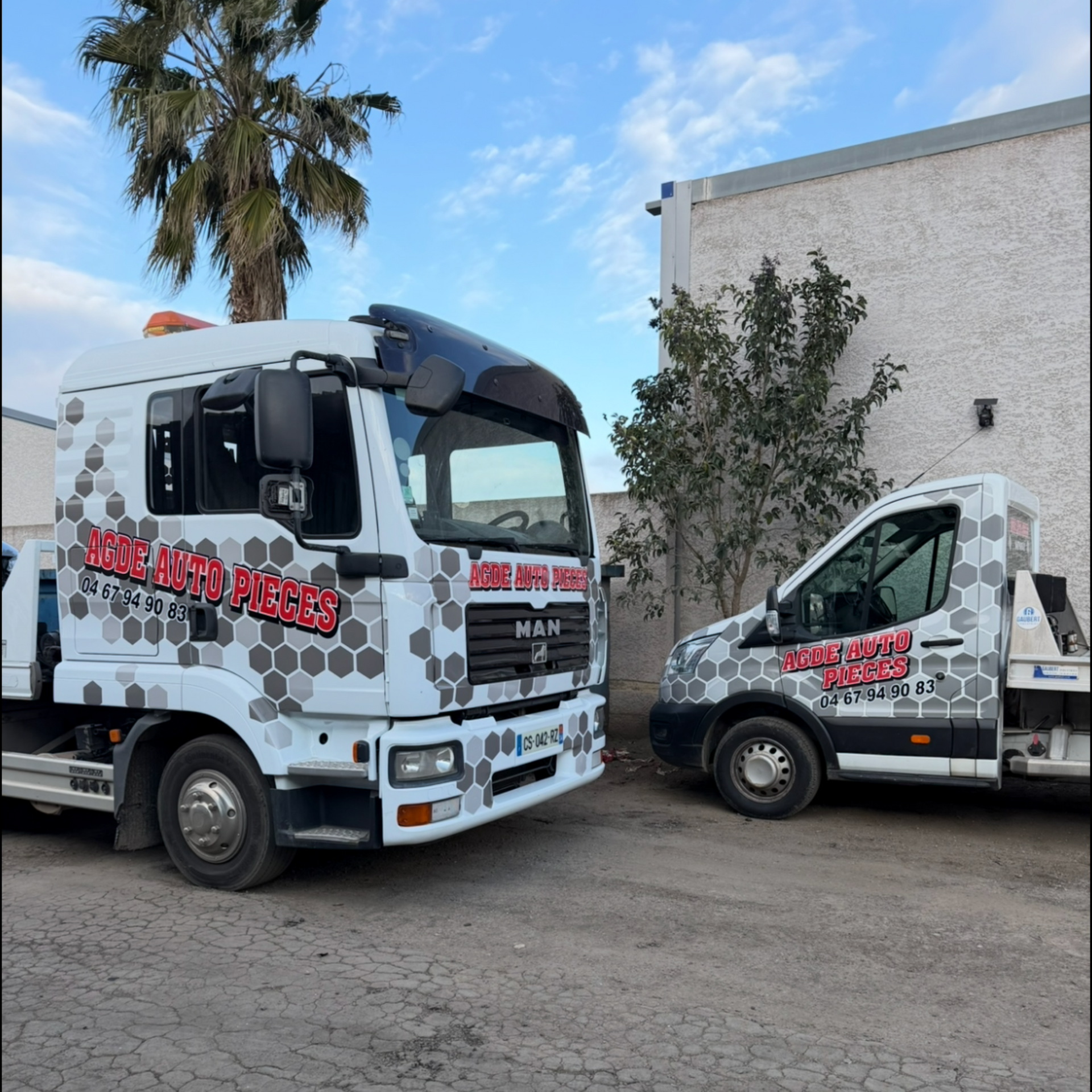 Deux dépanneuses blanches Agde Auto Pièces, garées près d'un palmier.