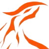 Silueta de cabeza de tigre naranja.