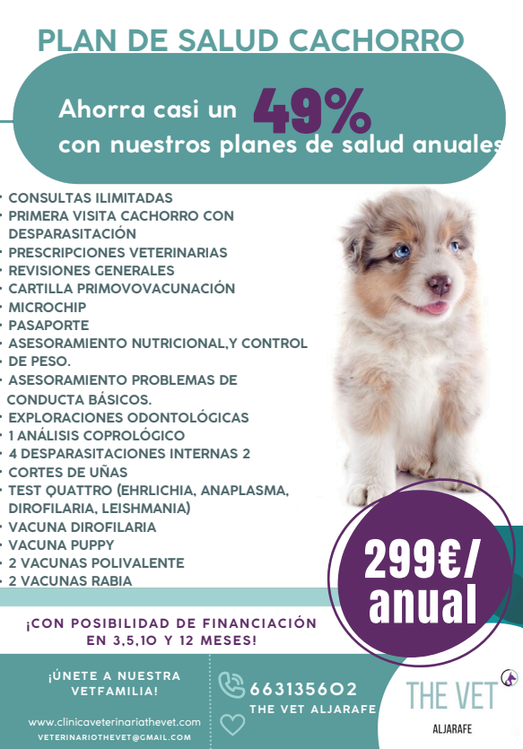 Anuncio de plan de salud premium para gatos adultos. Incluye consultas, vacunas y más por 165€ al año.