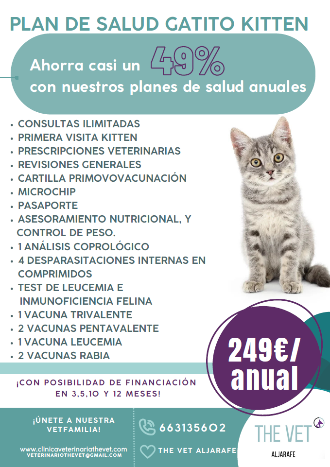 Cartel promocional: El plan de salud para cachorros ofrece descuentos e incluye visitas al veterinario