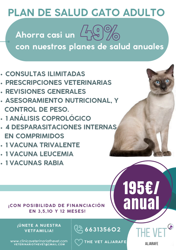 Folleto promocional de un plan de salud para gatitos