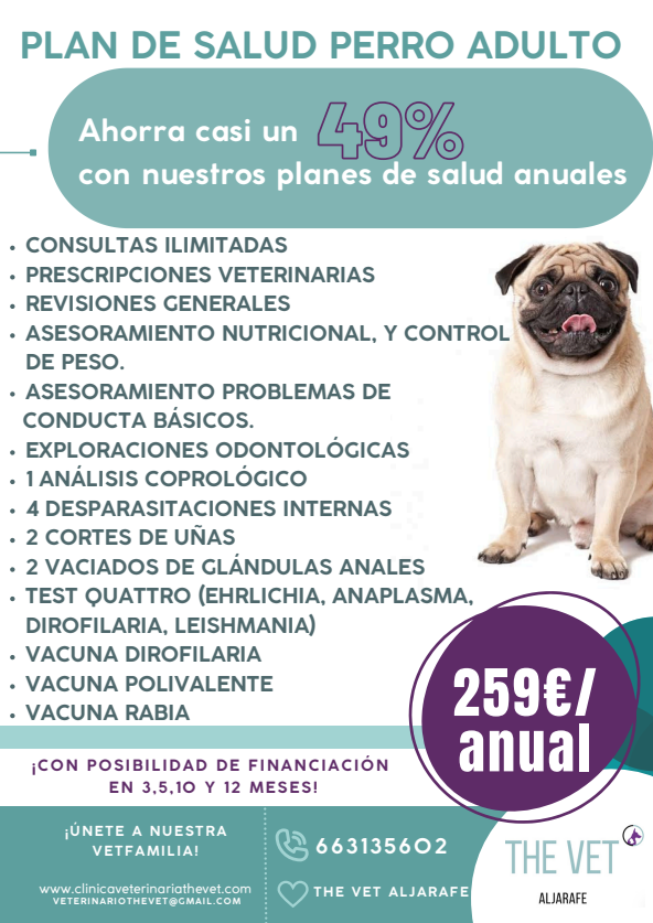 Anuncio de plan veterinario: Un perro border collie 