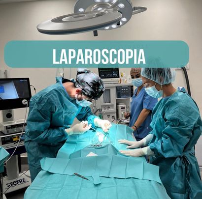 imagen equipo, operación en veterinario